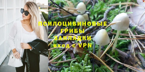соль курить ск Алексеевка