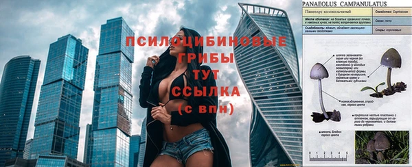соль курить ск Алексеевка