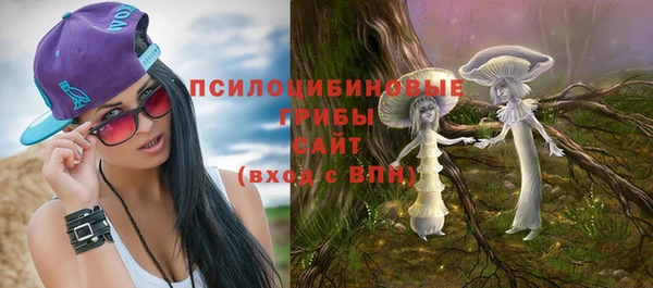амф Алзамай