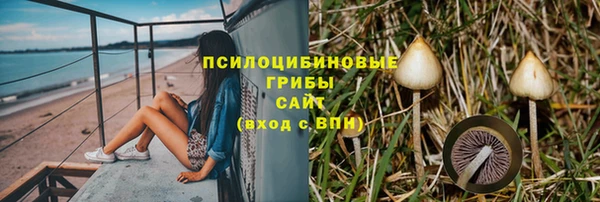 амф Алзамай