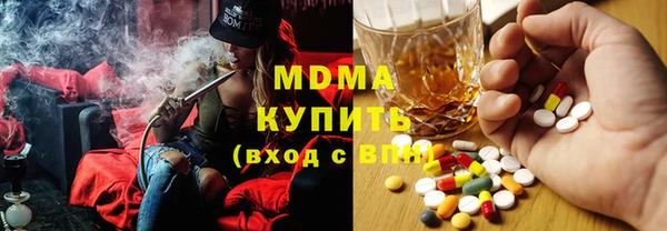 сатива Новозыбков