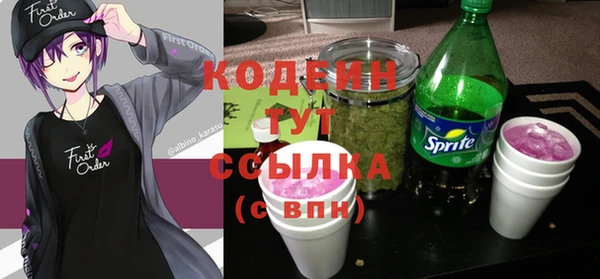 сатива Новозыбков