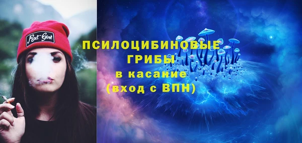 амф Алзамай