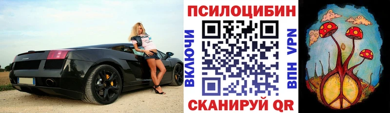 Псилоцибиновые грибы Psilocybe  Мыски 